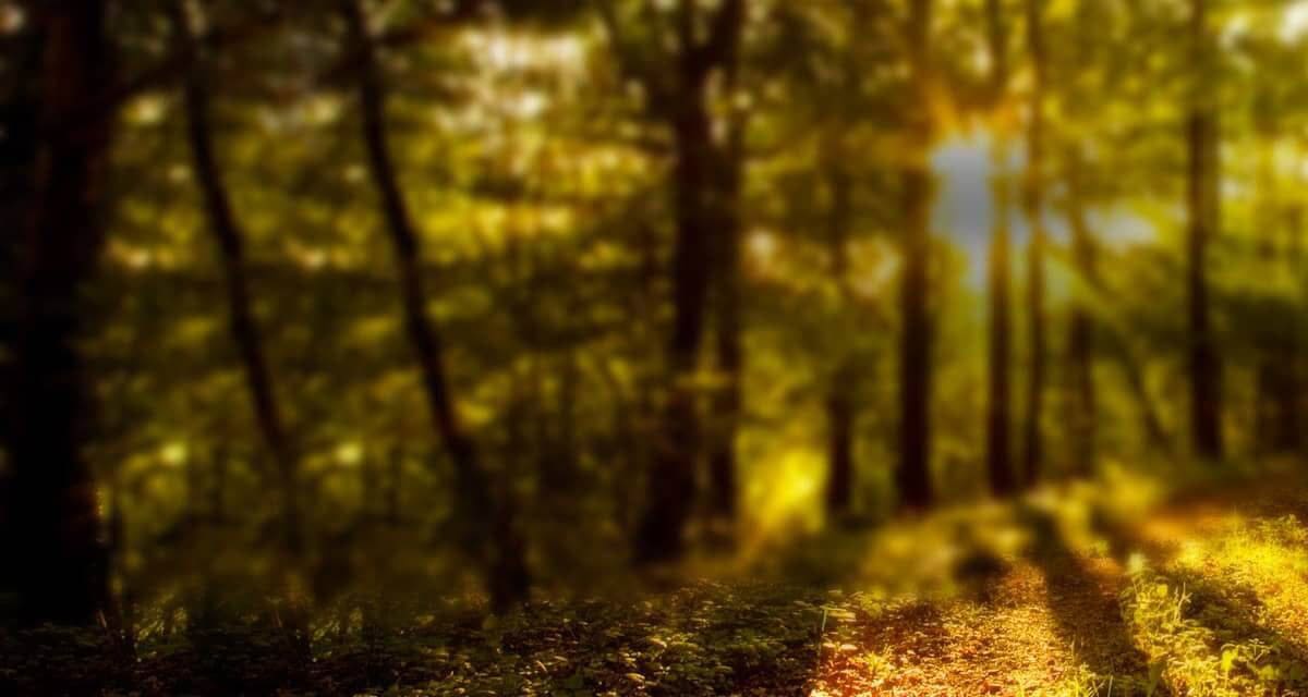 Виготовляємо та встановлюємо <strong>якісні пам'ятники</strong>